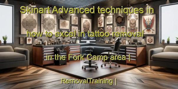 Skinart Advanced techniques in how to excel in tattoo removal in the Fork Camp area | RemovalTraining | RemovalClasses | SkinartTraining-Belize